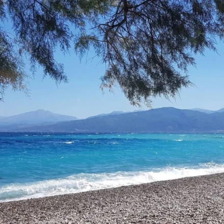 Οι πέντε καλύτερες παραλίες της Φωκίδας