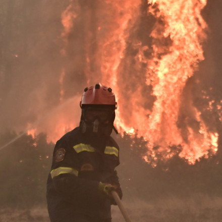Σε ύφεση η φωτιά στον Ωρωπό: Οι φλόγες έφτασαν μία ανάσα από τα σπίτια στο Ασπροχώρι
