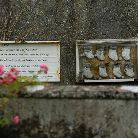 Στο φως το «στίγμα της Ιρλανδίας»: Ξεκινά εκταφή στα λείψανα σχεδόν 800 βρεφών δίπλα σε μοναστήρι