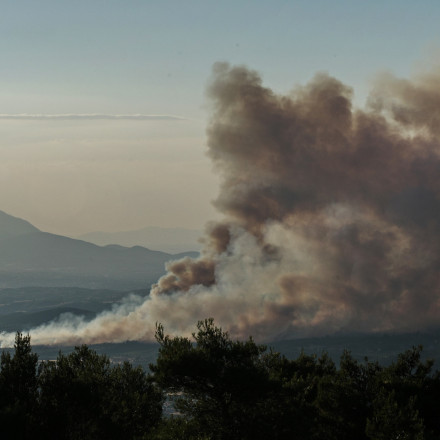 Φωτιά τώρα σε κτηνοτροφική μονάδα στο Κιλκίς - «Ήχησε» το 112 για επικίνδυνους καπνούς