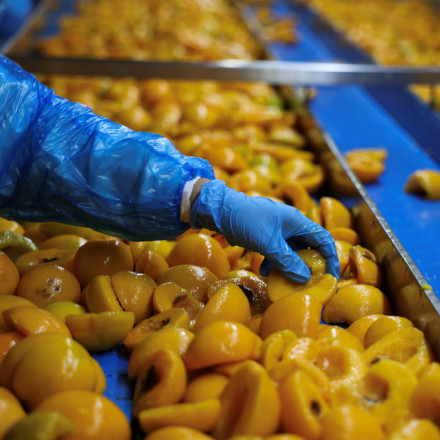 Reuters: «Παγωμάρα» στους Έλληνες ροδακινοπαραγωγούς από τους δασμούς Τραμπ