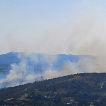 Μαίνεται η φωτιά στη Ροδόπη: Ενισχύονται οι δυνάμεις - Μάχη για να τεθεί υπό έλεγχο πριν νυχτώσει