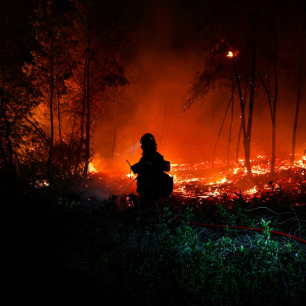 Φωτιά σε δασική έκταση στον Άγιο Στέφανο Λακωνίας - Μήνυμα από το 112