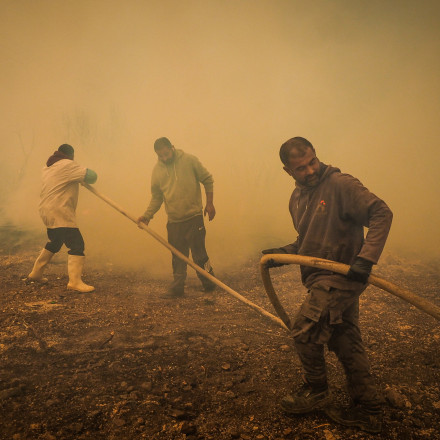 Νύχτα αγωνίας για τα πύρινα μέτωπα σε Εύβοια, Μεσσηνία, Κύθηρα, Χανιά - Κάηκαν σπίτια