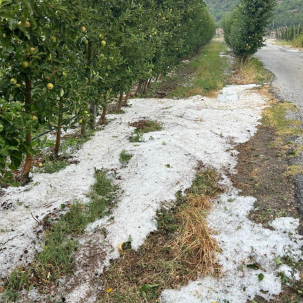 Καστοριά: Το «έστρωσε» με χαλάζι - Σοβαρές καταστροφές σε αγροτικές καλλιέργειες