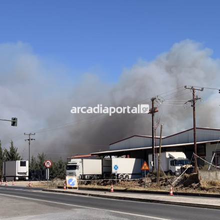 Τρίπολη: Χωρίς ενεργό μέτωπο η φωτιά στον Άγιο Σώστη Τεγέας