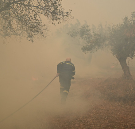 Φωτιά τώρα στη Χόικα Θεσπρωτίας - Επιχειρούν έξι εναέρια μέσα Φωτιά τώρα στη Χόικα Θεσπρωτίας - Επιχειρούν έξι εναέρια μέσα