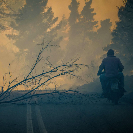 Ηλεία: Eικόνα-σοκ από δορυφόρο δείχνει την καταστροφή - 7.950 στρέμματα έγιναν στάχτη