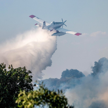 Φωτιά στην Πελεή Αργολίδας - Σηκώθηκαν εναέρια μέσα