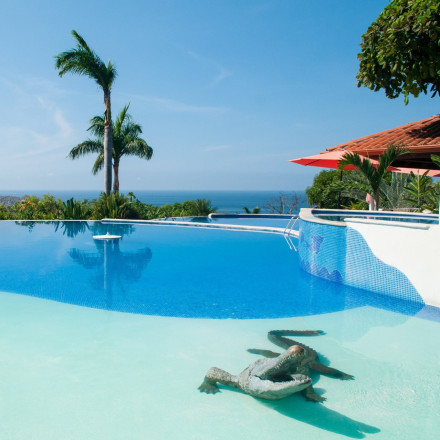 Επιχείρηση «ερπετό»: Αστυνομικός «συλλαμβάνει» αλιγάτορα και τον δένει με ζώνη στο περιπολικό