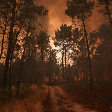 Πιο καταστροφικές οι φωτιές στην Ευρώπη – Κάηκαν διπλάσιες εκτάσεις από ότι πριν 20 χρόνια
