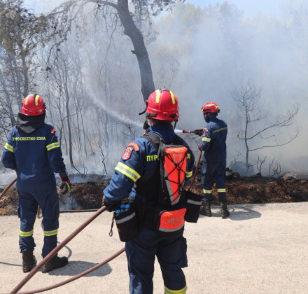 Υπό μερικό έλεγχο η φωτιά στη Λάγια Μάνης - Σηκώθηκαν εναέρια μέσα Υπό μερικό έλεγχο η φωτιά στη Λάγια Μάνης - Σηκώθηκαν εναέρια μέσα