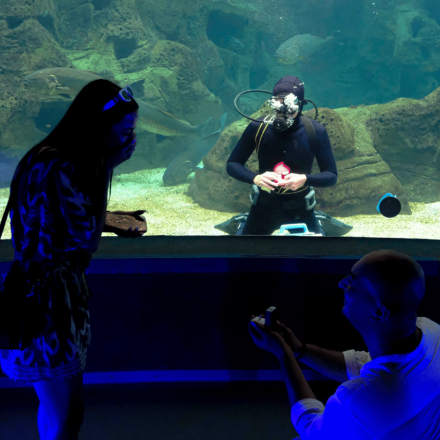 Η πιο γλυκιά πρόταση γάμου στο Ενυδρείο Ηρακλείου - Είπε το «ναι» μπροστά στον βυθό