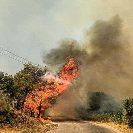 «Φωτιά με φωτιά»: Τι είναι το αντιπύρ, πότε χρησιμοποιείται - Ειδικός εξηγεί πώς «έσωσε την Ζάκυνθο»