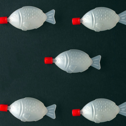 Αυστραλία: Πολιτεία απαγορεύει τα πλαστικά μπουκαλάκια σε σχήμα ψαριού που περιέχουν σόγια - O λόγος