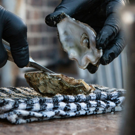 Συναγερμός για θανατηφόρο βακτήριο - Νεκροί δυο άνθρωποι μετά από κατανάλωση ωμών στρειδιών