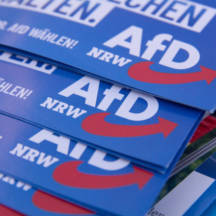 Μυστήριο στους κόλπους του AfD: Σειρά θανάτων υποψηφίων προκαλεί θεωρίες συνωμοσίας