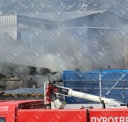 Φωτιά σε φυτώριο στο Μενίδι - Μεγάλη κινητοποίηση της Πυροσβεστικής Φωτιά σε φυτώριο στο Μενίδι - Μεγάλη κινητοποίηση της Πυροσβεστικής