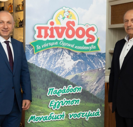 Πίνδος: Χρυσή χρονιά το 2024 με αύξηση κερδών 178,5% Πίνδος: Χρυσή χρονιά το 2024 με αύξηση κερδών 178,5%