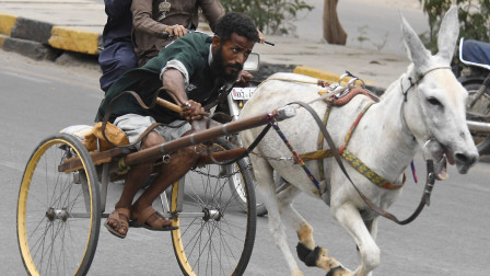 Απίστευτη διάρρηξη στην Τουρκία - Ο δράστης μπήκε στο μαγαζί με κλαρκ και διέφυγε με... γάιδαρο