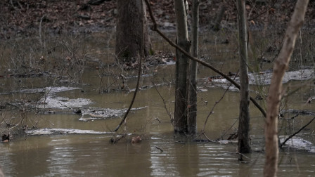 Εντολή Τραμπ στις ομοσπονδιακές υπηρεσίες να παρέμβουν για τη διαρροή λυμάτων στον ποταμό Ποτόμακ