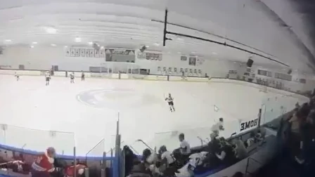 Πρωτόγνωρες εικόνες σε αγώνα χόκεϊ: Άντρας πυροβόλησε τη γυναίκα του και τα δυο παιδιά του (vid)