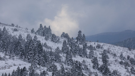 Χωρίς αποτέλεσμα οι έρευνες στο Βελούχι για τον 74χρονο αγνοούμενο ορειβάτη