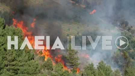 Ηλεία: Σε εξέλιξη μεγάλη φωτιά σε δύο μέτωπα - Σηκώθηκε και αεροσκάφος