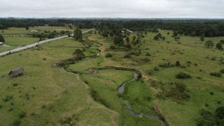 Πότε έφτασαν οι άνθρωποι στην Αμερική - Η επανεξέταση του Μόντε Βέρντε που αλλάζει όσα ξέραμε