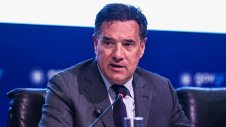 «Κανονική ψυχασθένεια»: Τι λέει ο Άδωνις για την υποψήφια της Πλεύσης που συνελήφθη για εμπρησμό