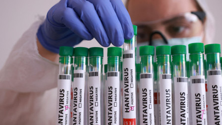 Χανταϊός: Επιστήμονες αναπτύσσουν εμβόλιο μετά τους θανάτους στο κρουαζιερόπλοιο