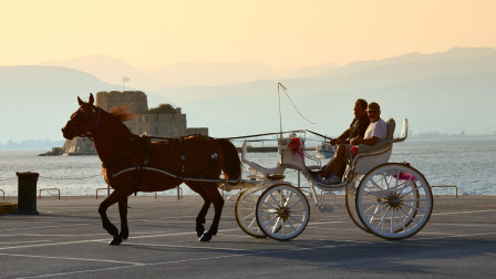 Η φιλοζωική ομοσπονδία ζητά μέτρα προστασίας για τα άλογα που «εργάζονται» σε περιόδους καύσωνα