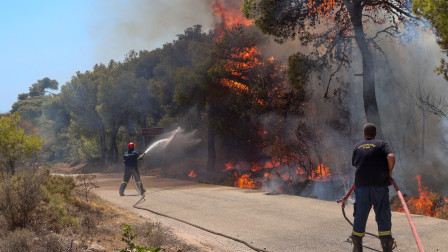 Συνελήφθη 43χρονη για φωτιές στην Κερατέα - Ομολόγησε διπλό εμπρησμό