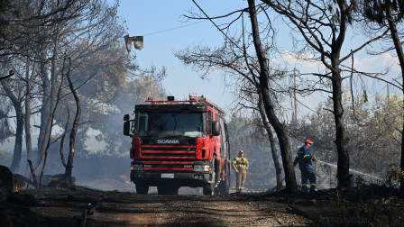 Φυλάκιση στον 70χρονο που προκάλεσε πυρκαγιά στο Καλοχώρι - Ήθελε να διώξει σφήκες