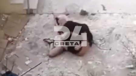 Ηράκλειο: Σοκαριστικό βίντεο από τον άγριο ξυλοδαρμό της 15χρονης από ανήλικες - Σκληρές εικόνες