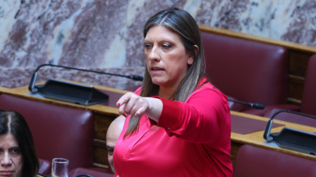 Ούτε η Πλεύση Ελευθερίας θα παραβρεθεί στη γιορτή για την Αποκατάσταση της Δημοκρατίας