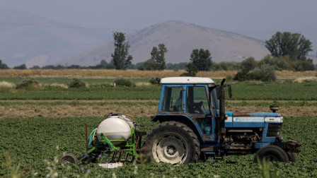 Πληρωμές χωρίς φορολογική και ασφαλιστική ενημερότητα για 24.000 νέους αγρότες