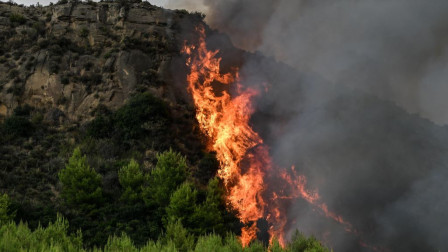 Απόκοσμες εικόνες από τη φωτιά στο Μουζάκι Ηλείας: Μάχη με τον χρόνο να μην φτάσει σε οικισμό