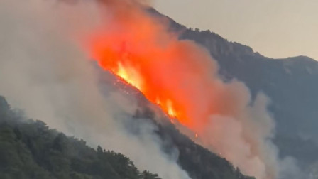 Μάχη με τις φλόγες για όγδοη μέρα στην Κόνιτσα - Η φωτιά καίει ανεξέλεγκτη σε πυκνό δάσος