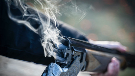 Λάρισα: Άνδρας πυροβόλησε με καραμπίνα τον αδερφό του - Τι «όπλισε» το χέρι του