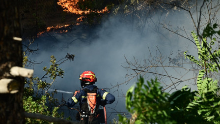Συνελήφθη 59χρονος για τη φωτιά στο Νεοχώρι Πηλίου - Πρόστιμο 2.925 ευρώ