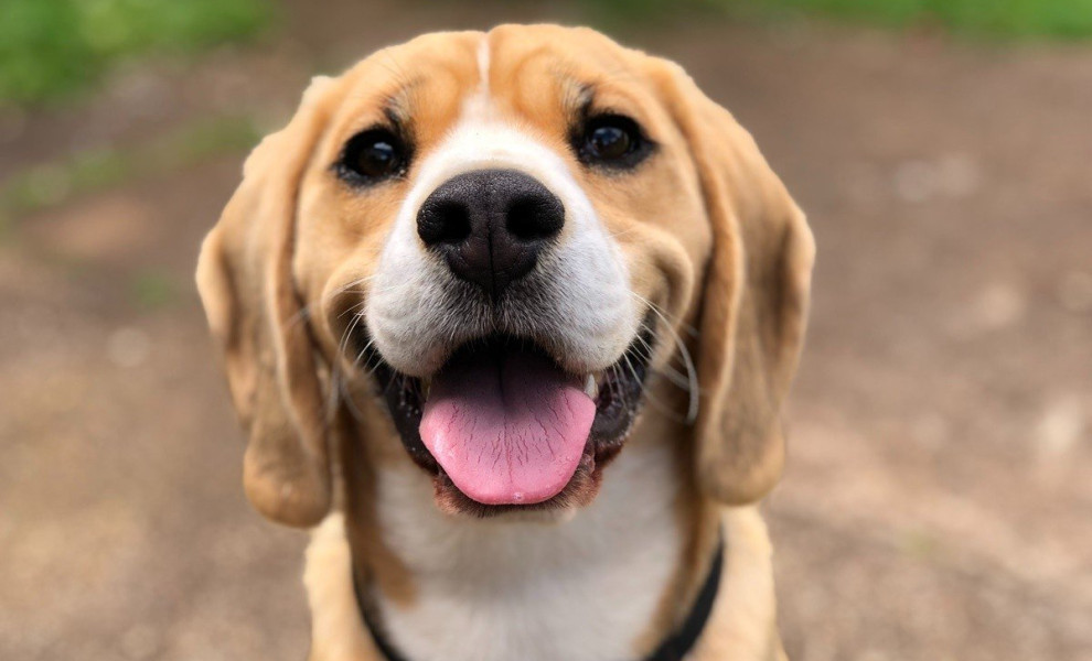 φωτό unsplash