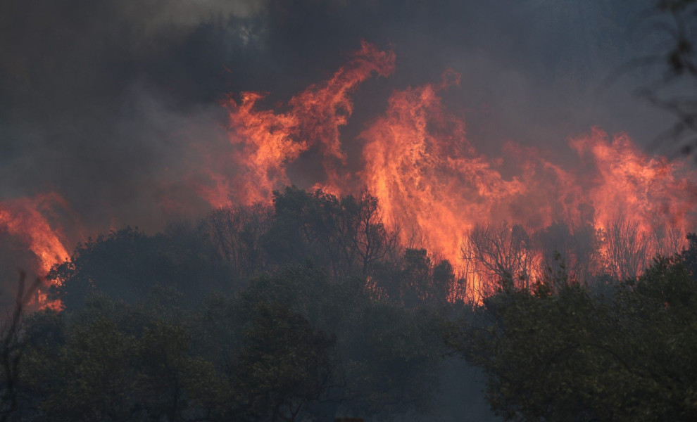 Καταστροφές απο την πυρκαγιά στην Αλεξανδρούπολη. Τρίτη 22 Αυγούστου 2023  (ΒΑΣΙΛΗΣ ΒΕΡΒΕΡΙΔΗΣ / ΜΟΤΙΟΝ ΤΕΑΜ)