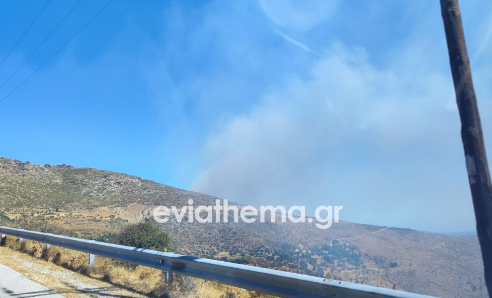 Φωτ.: eviathema.gr