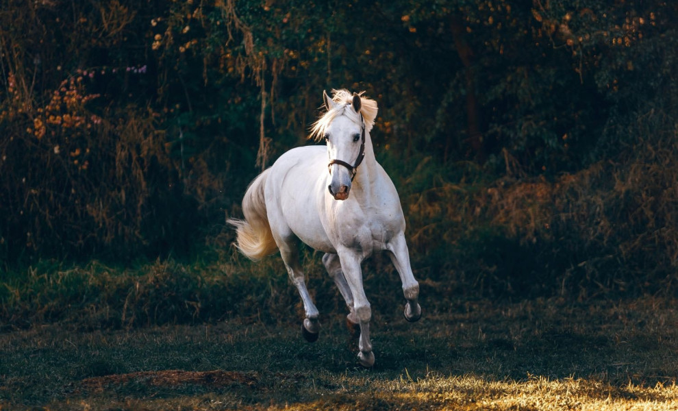 Φωτ. αρχείου UNSPLASH
