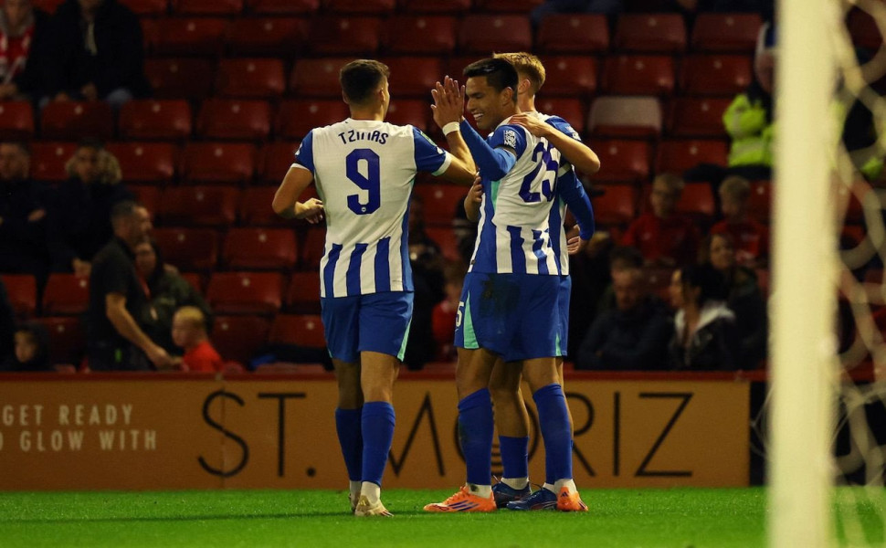 brightonandhovealbion.com