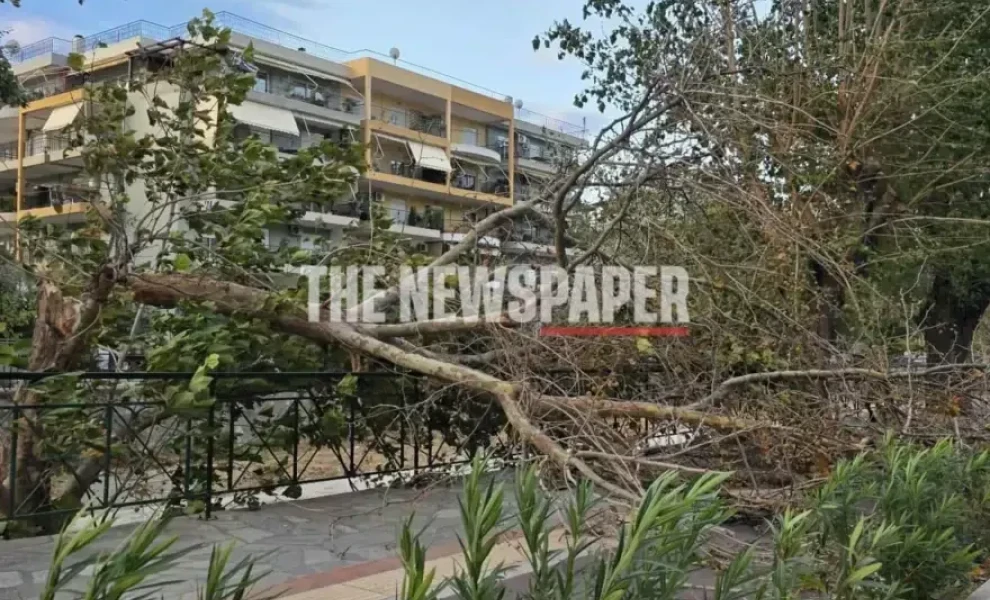 The Newspaper