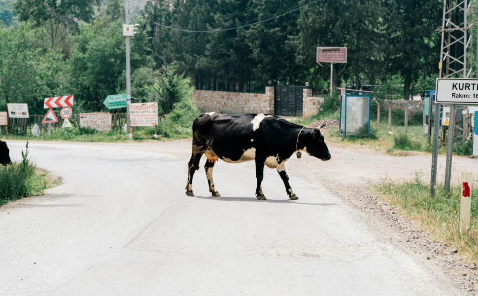 Φωτό: Unsplash Φωτό: Unsplash