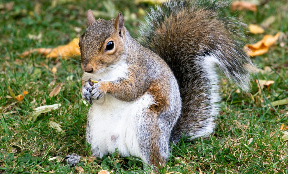 Φωτογραφία: Unsplash