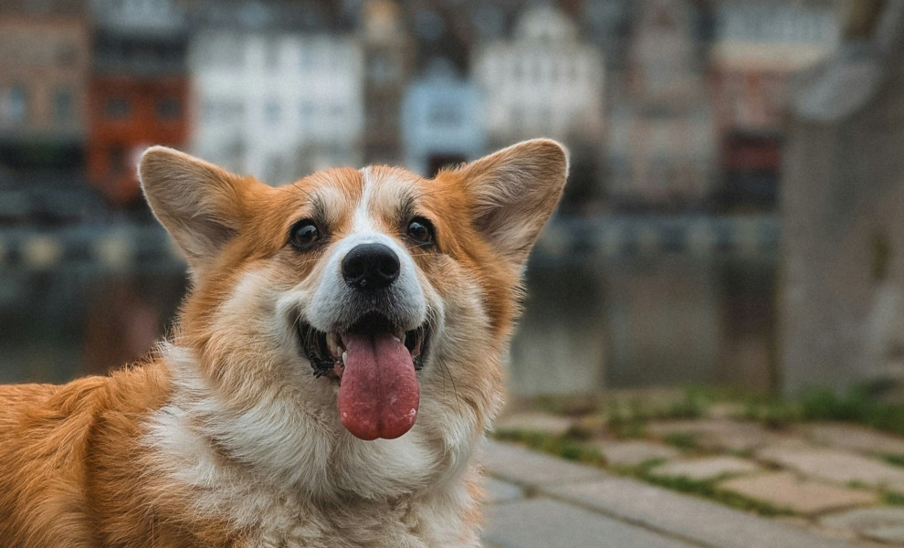 Φωτογραφία: Unsplash